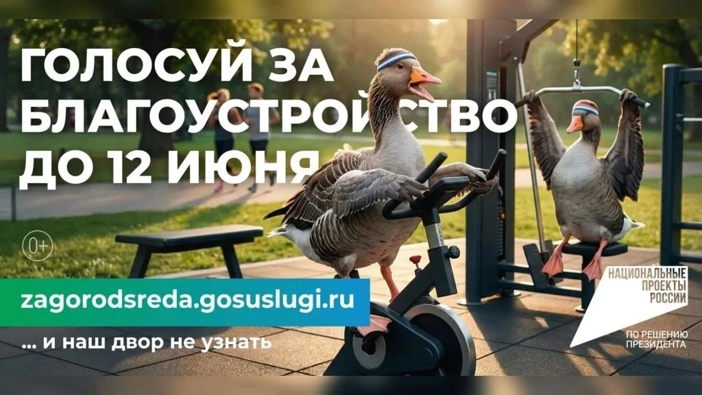 Вжух — и даже пустырь может стать парком!