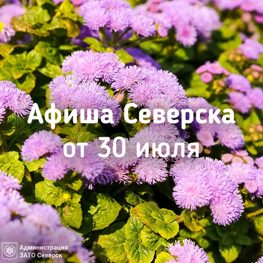 Афиша Северска 🎭

✅ Проведите последний месяц лета на культурных мероприятиях!