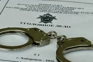 Новосибирец получил 18 лет колонии за убийство знакомой и шантаж ее матери