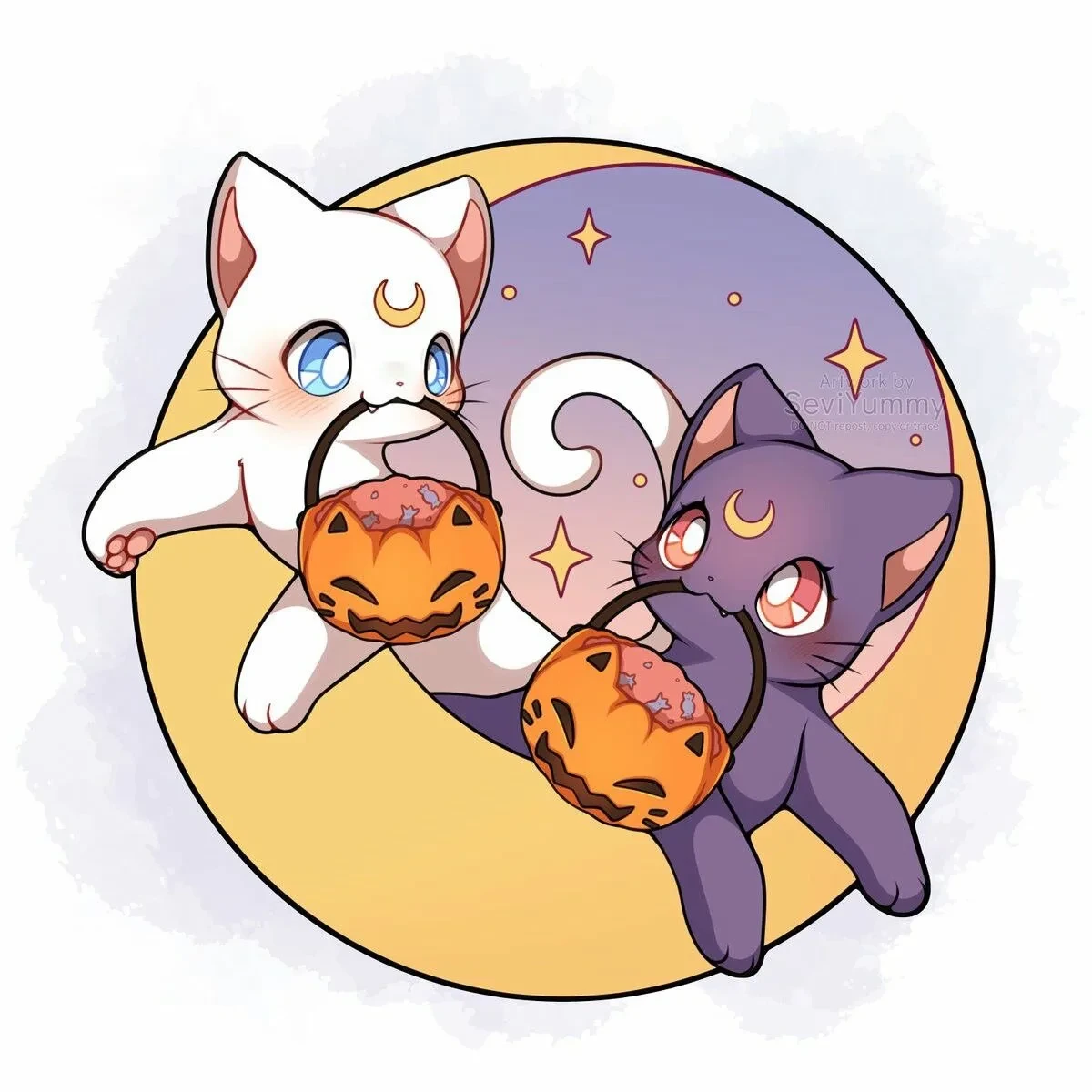 Милые авы с кошкой Луной 🌙