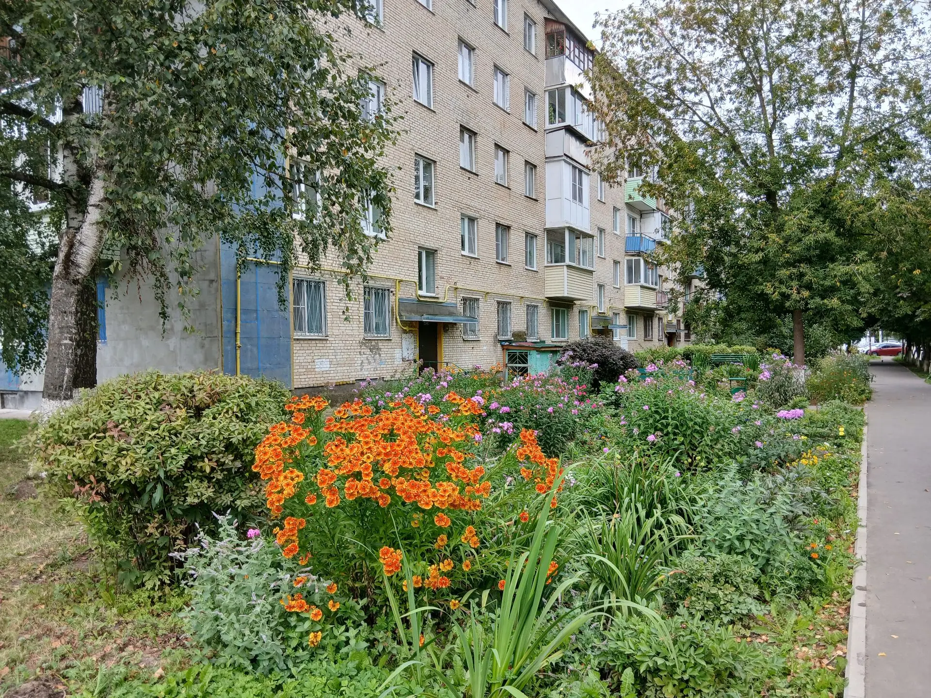🌺КРАСИВЫЙ КОНКУРС - 4