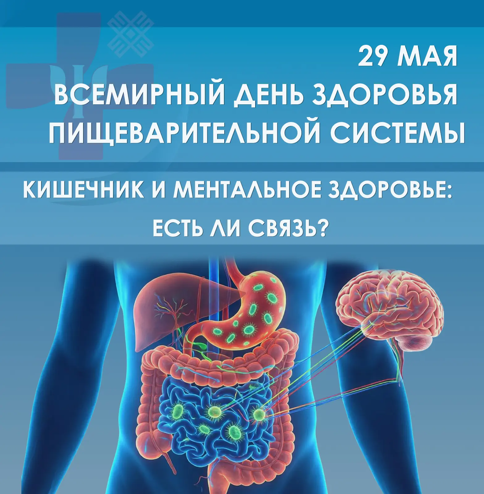 Сегодня всемирный день здоровья пищеварительной системы📆