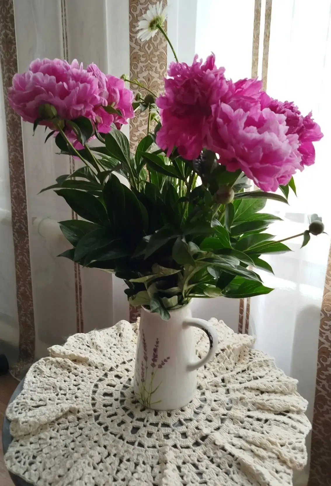 В садах цветут пионы 🌺🌺🌺
Недолог век этого нежного и одновременно шикарного цветка - успеваем нас