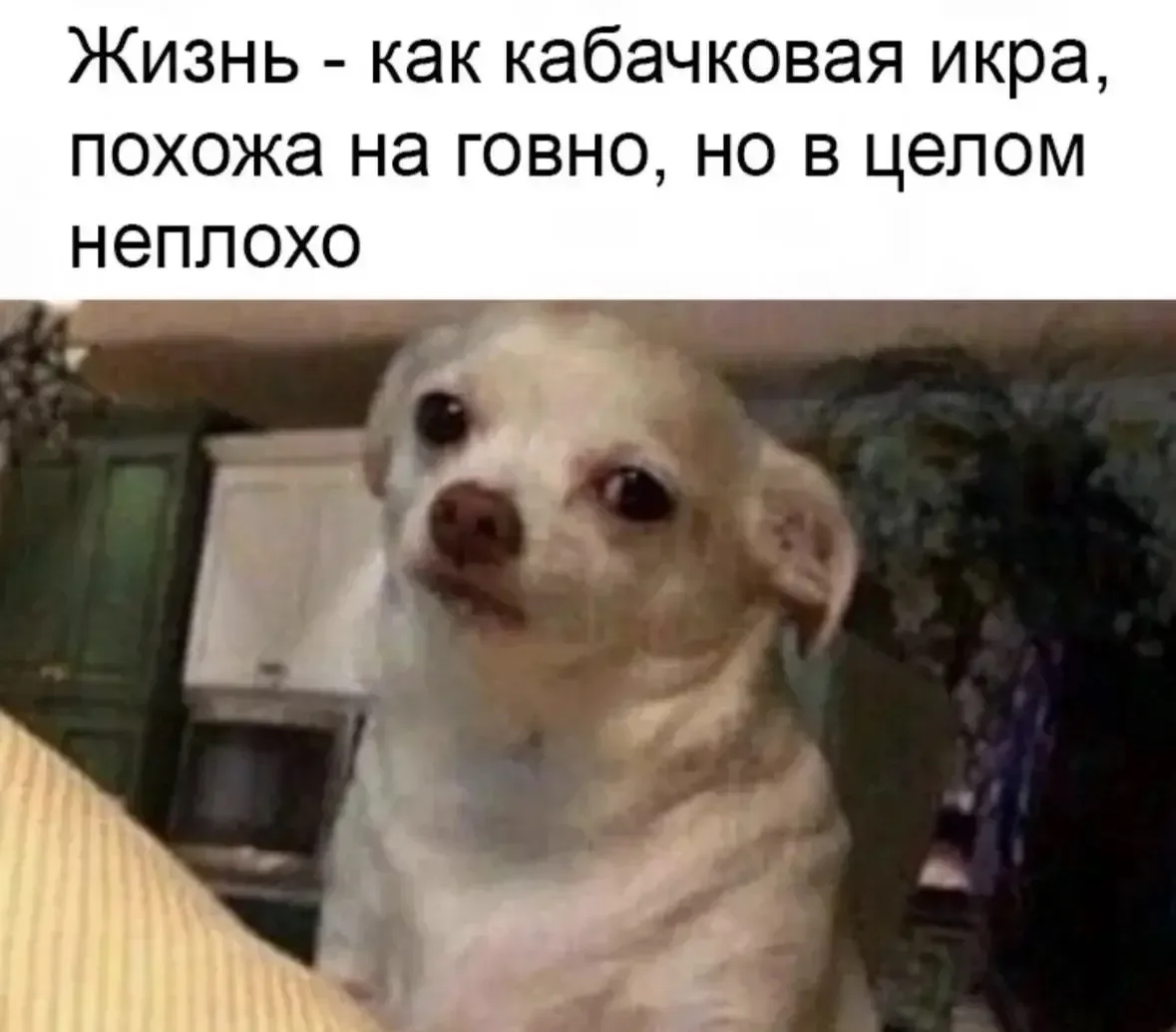Ну сойдет