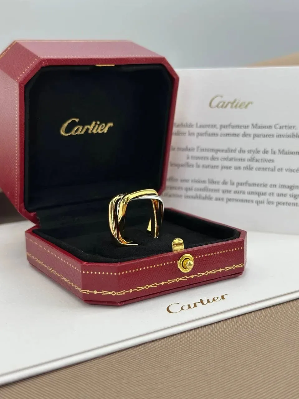 𝐂𝐚𝐫𝐭𝐢𝐞𝐫