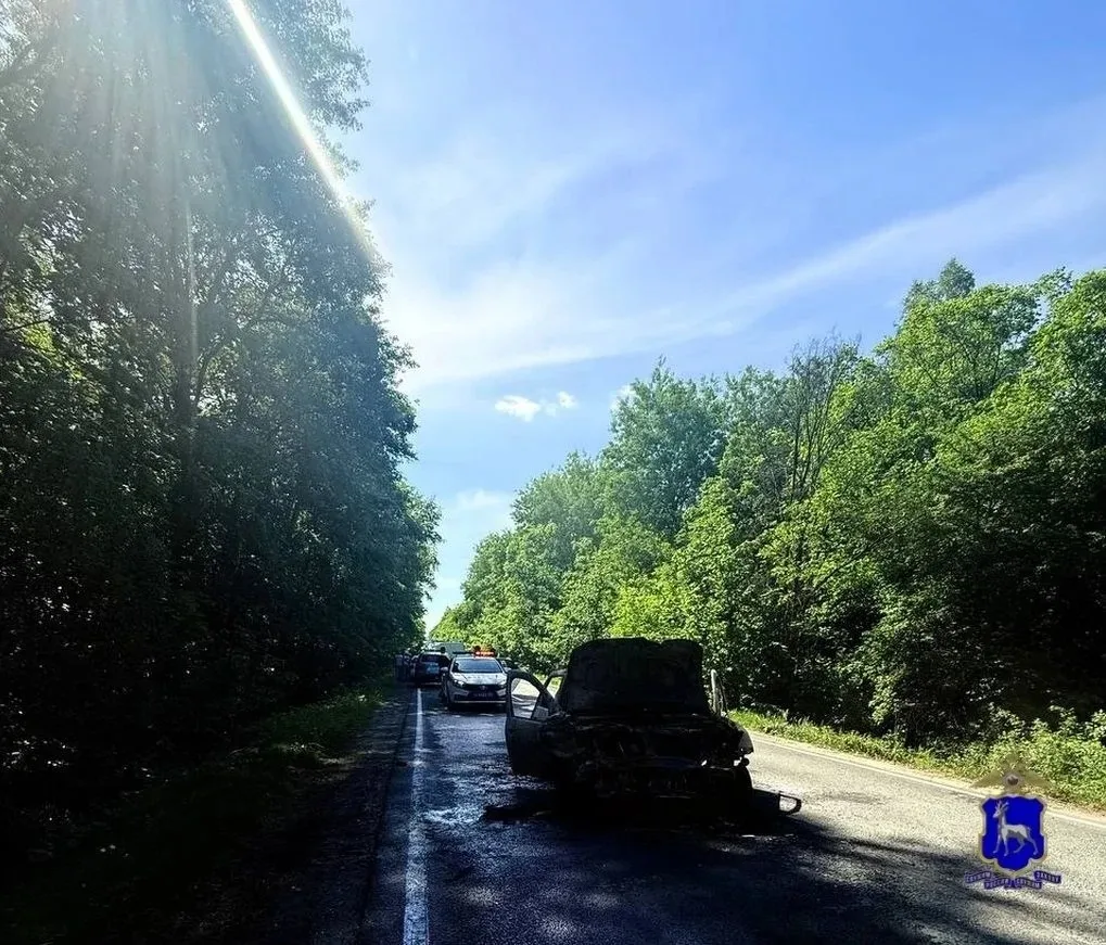 ДТП с детьми в Самарской области 🚌  Сегодня в Ставропольском районе столкнулись автобус с 44 детьми 