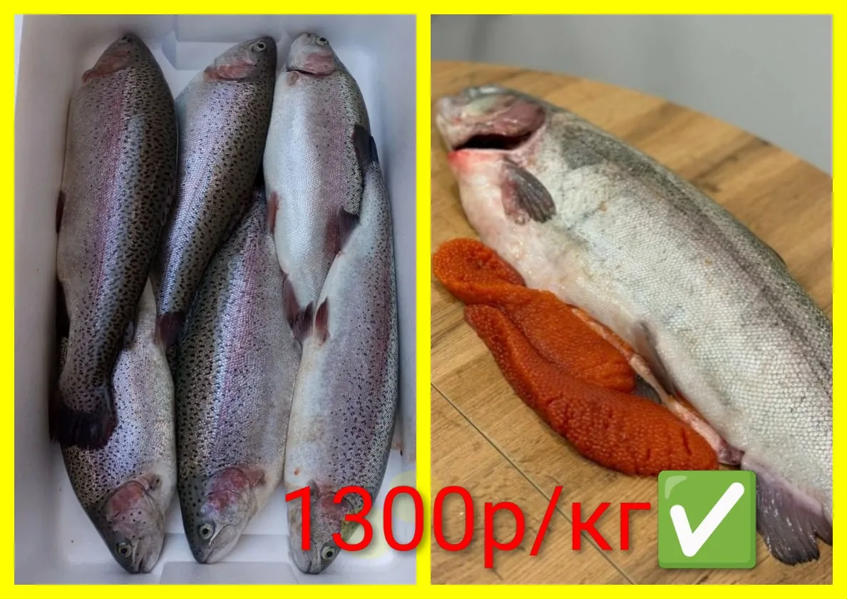 Сегодня уже 1 октября 🍁 и заявочки поступают все  больше✅