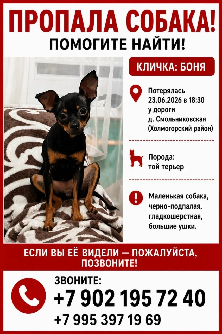 От подписчика.