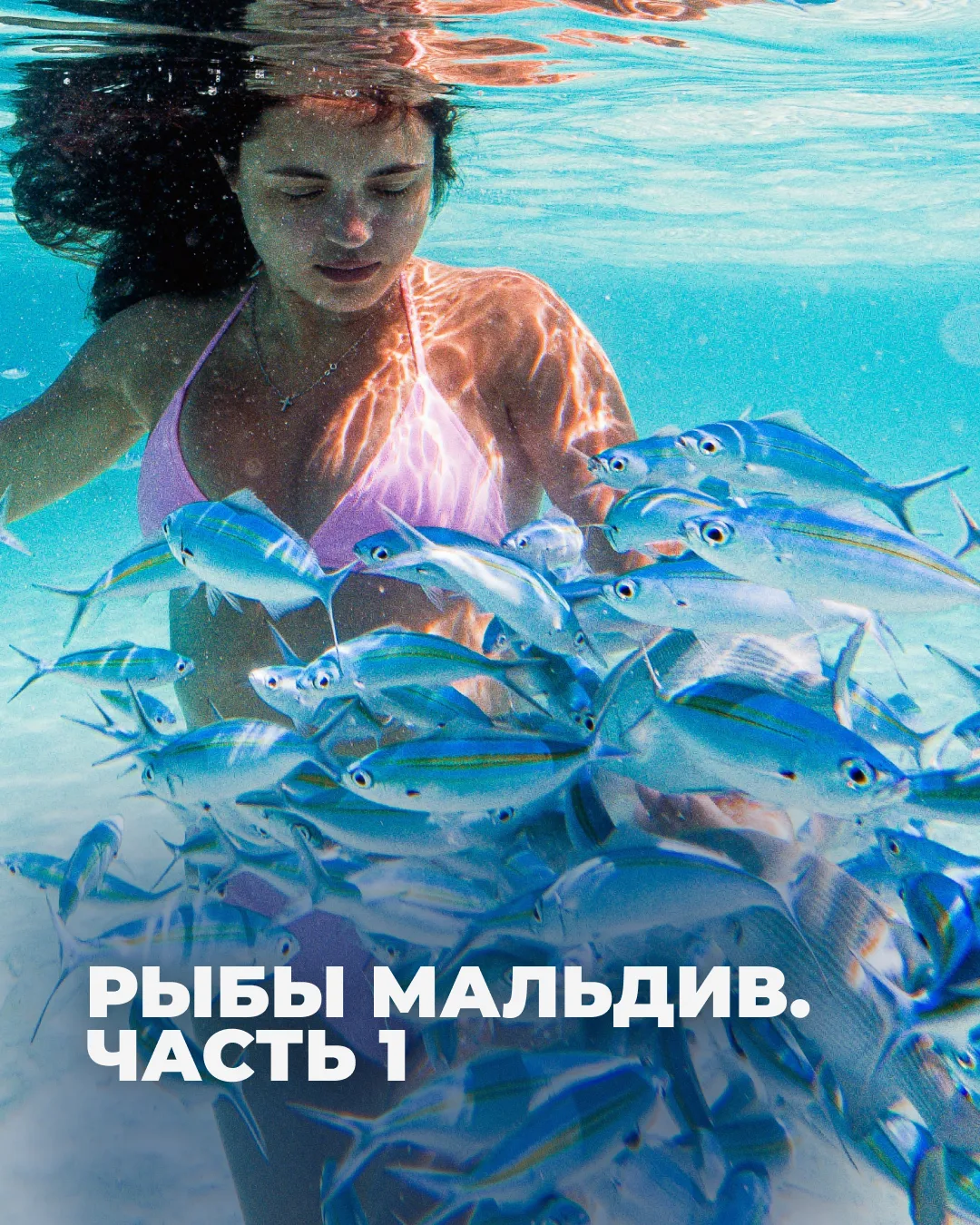 Все знают, что вокруг Мальдив плавают скаты и акулы. А как же эти удивительные пестрые малыши?

Дава