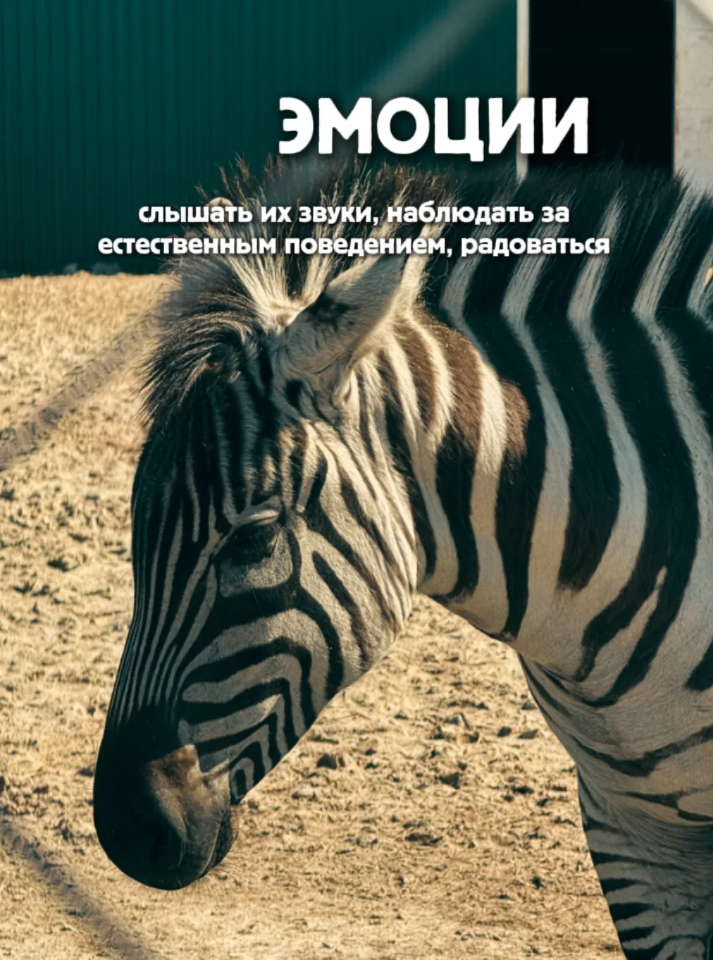Если описать нас 5 словами - это будет 
Эмоции
Красиво
Экзотика 
Вкусно
Малыши 

🔺Адрес Гафурийский