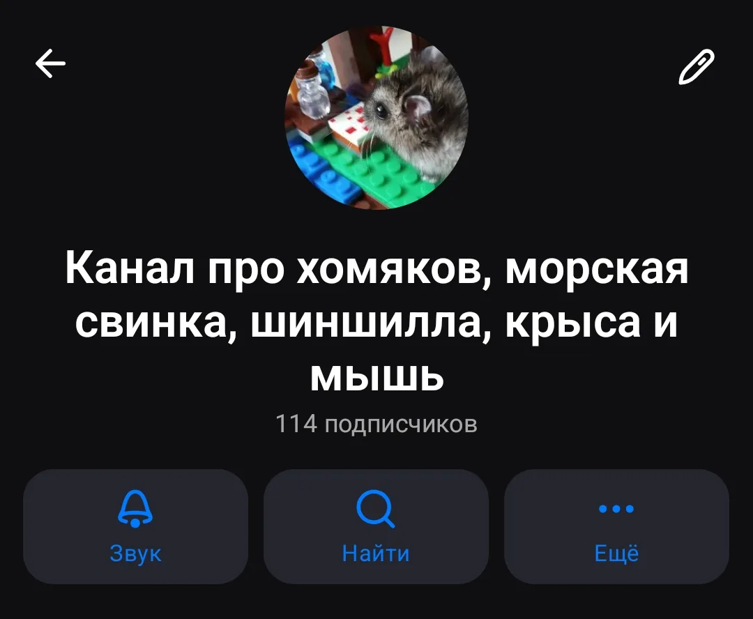 Канал так переименован чтобы его было легче найти в поиске 🔎