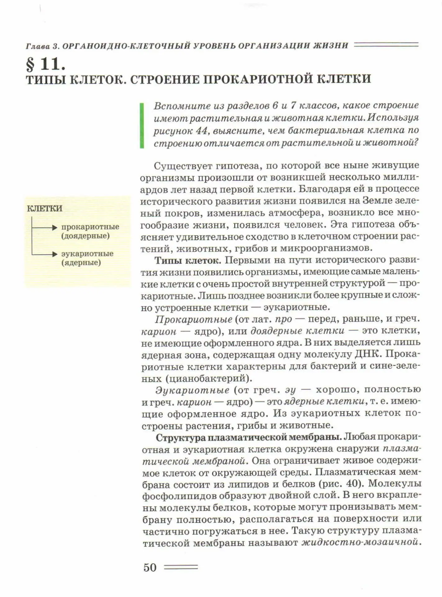 Прокариотические и эукариотические клетки