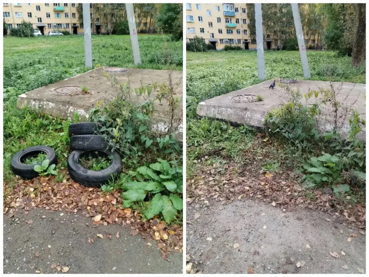 Муниципальные предприятия, творческие коллективы и бизнес присоединяются к месячнику по...