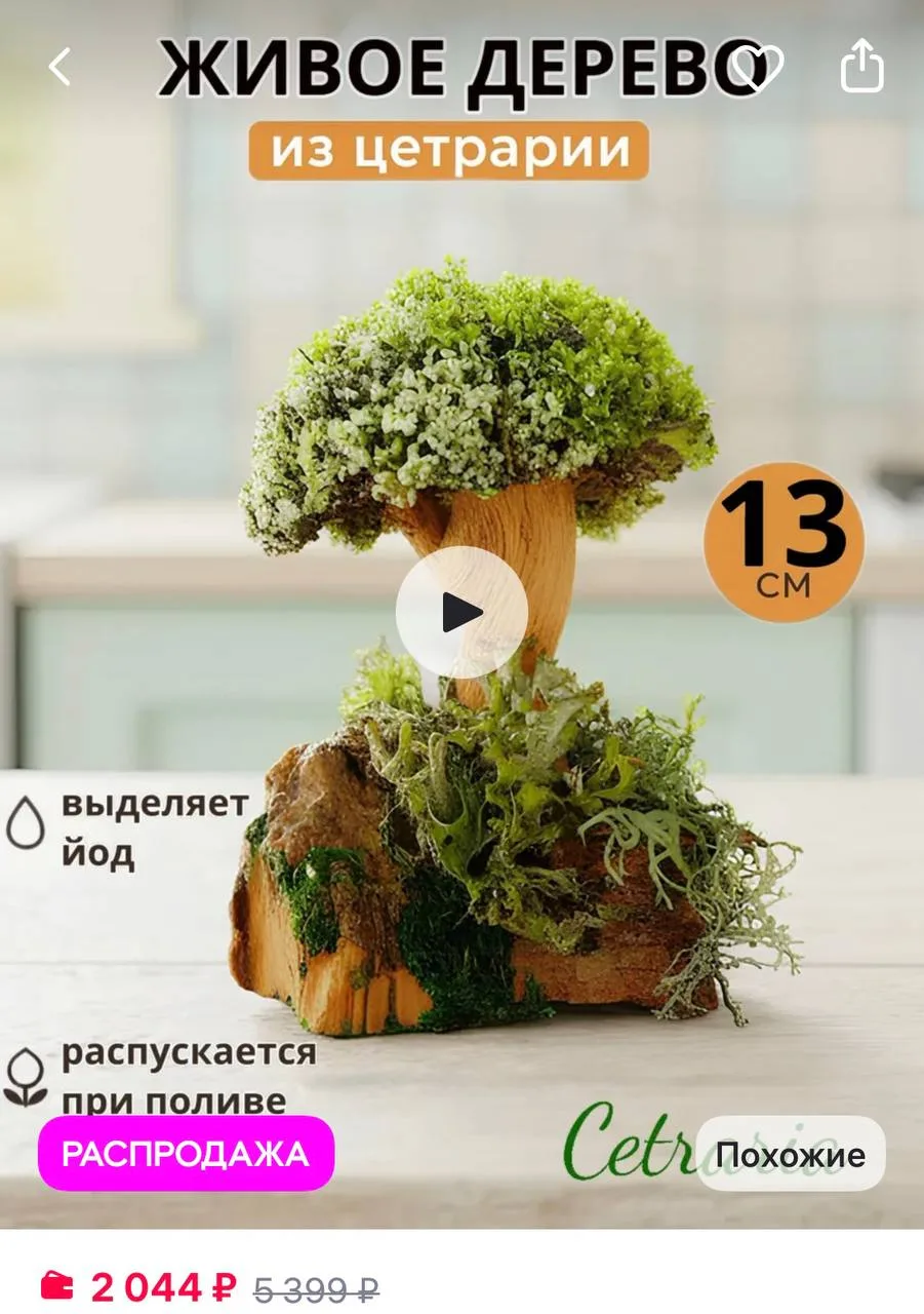 Живое дерево из исландского мха 

Если это рекламируется, как элемент декора, к такому вопросов нет.