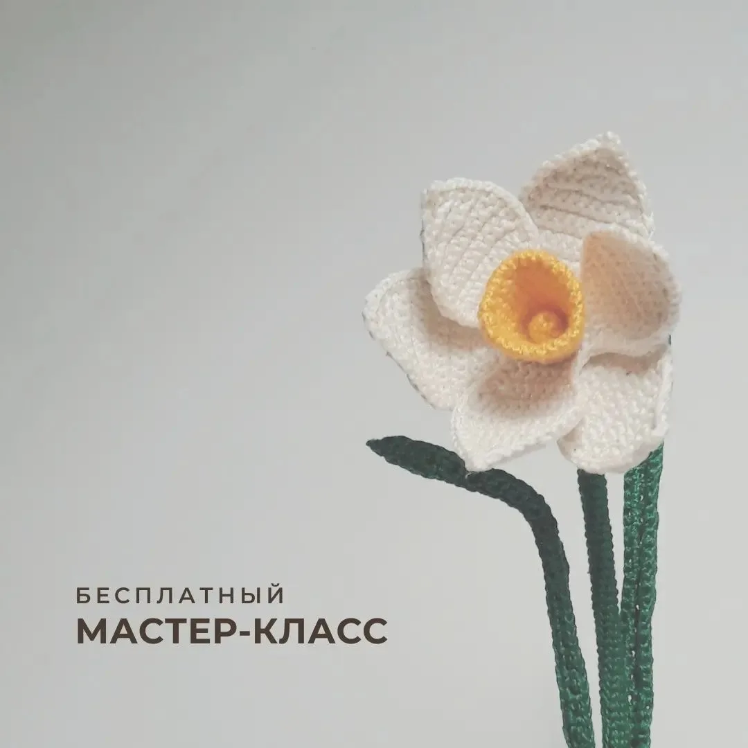 Нарцисс
Автор: irina_rybolovleva