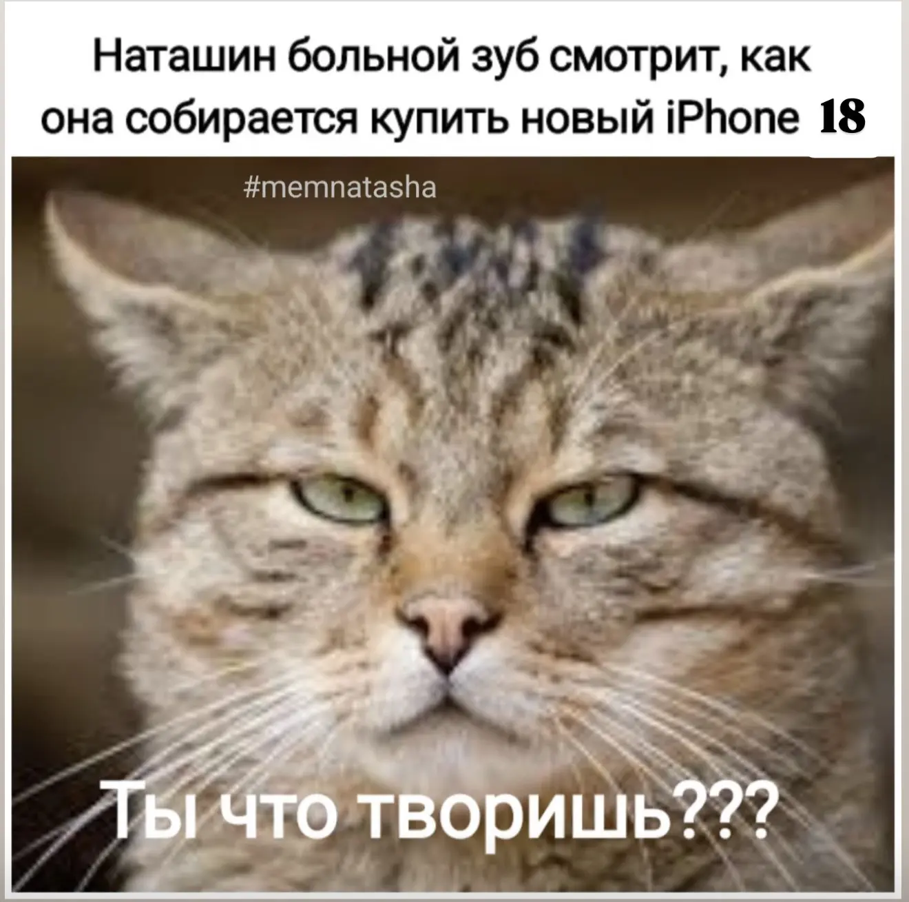 Доброе утро, друзья❤️