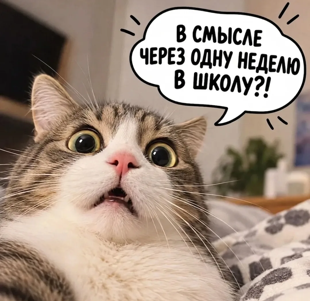 📚💆☀ Напоминаем юным читателям, что летние каникулы уже на финишной прямой!