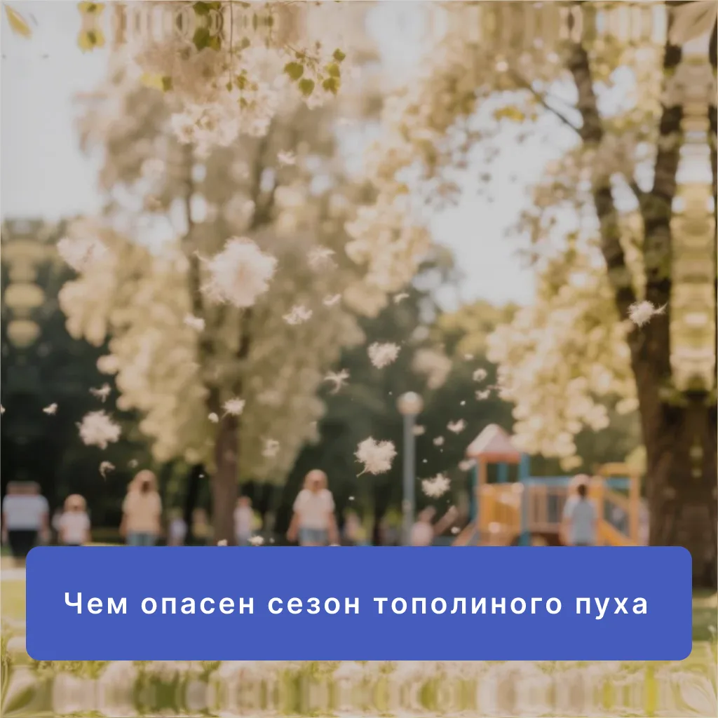 Осторожно, тополиный пух