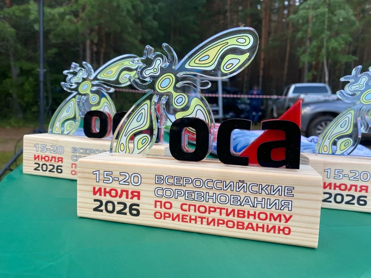 🇷🇺 На Осинской лесной даче проходят ХХХI Всероссийские соревнования по спортивному ор...
