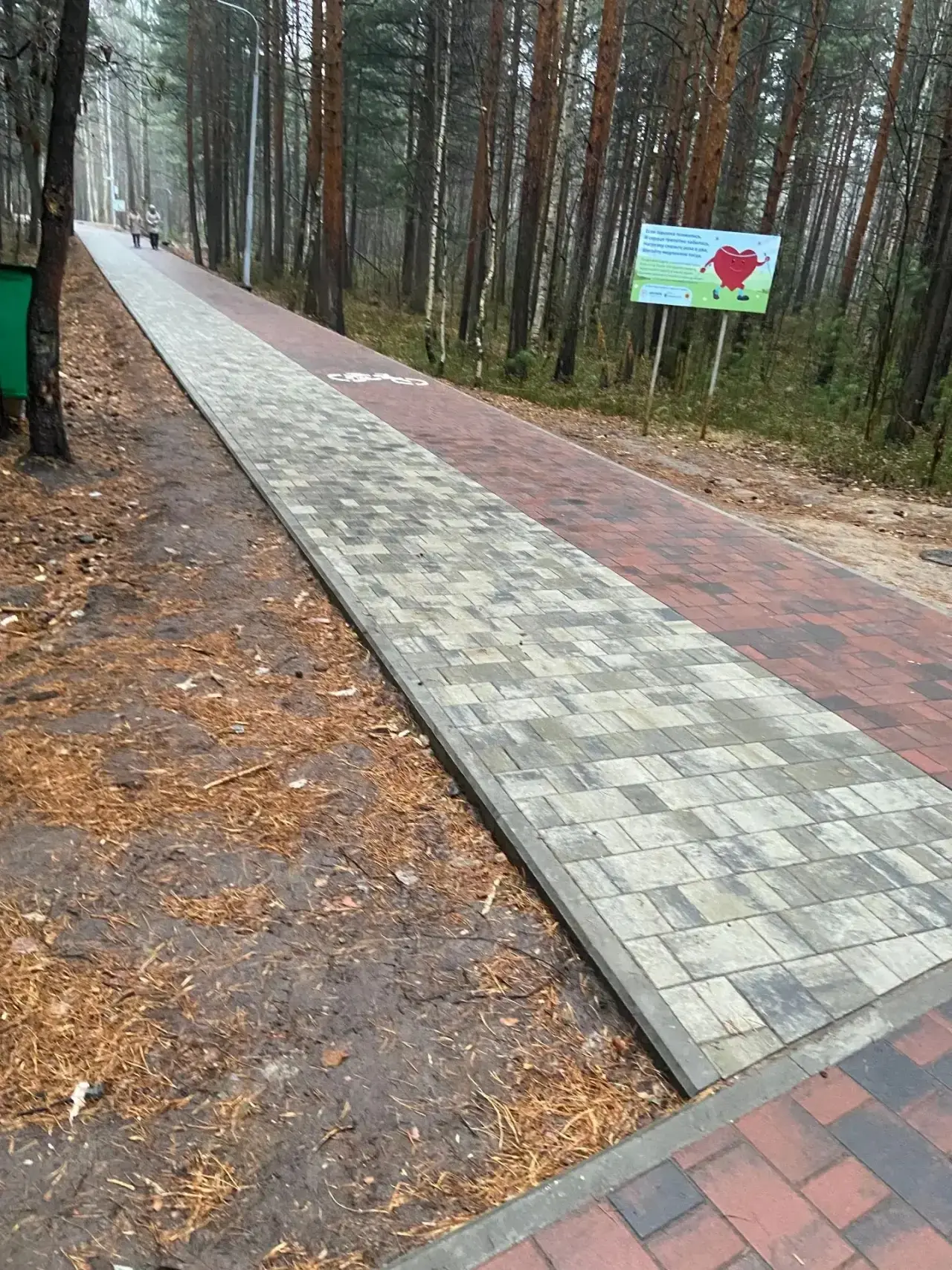 В экопарке за Саймой обустраивают дорожно-тропиночную сеть.