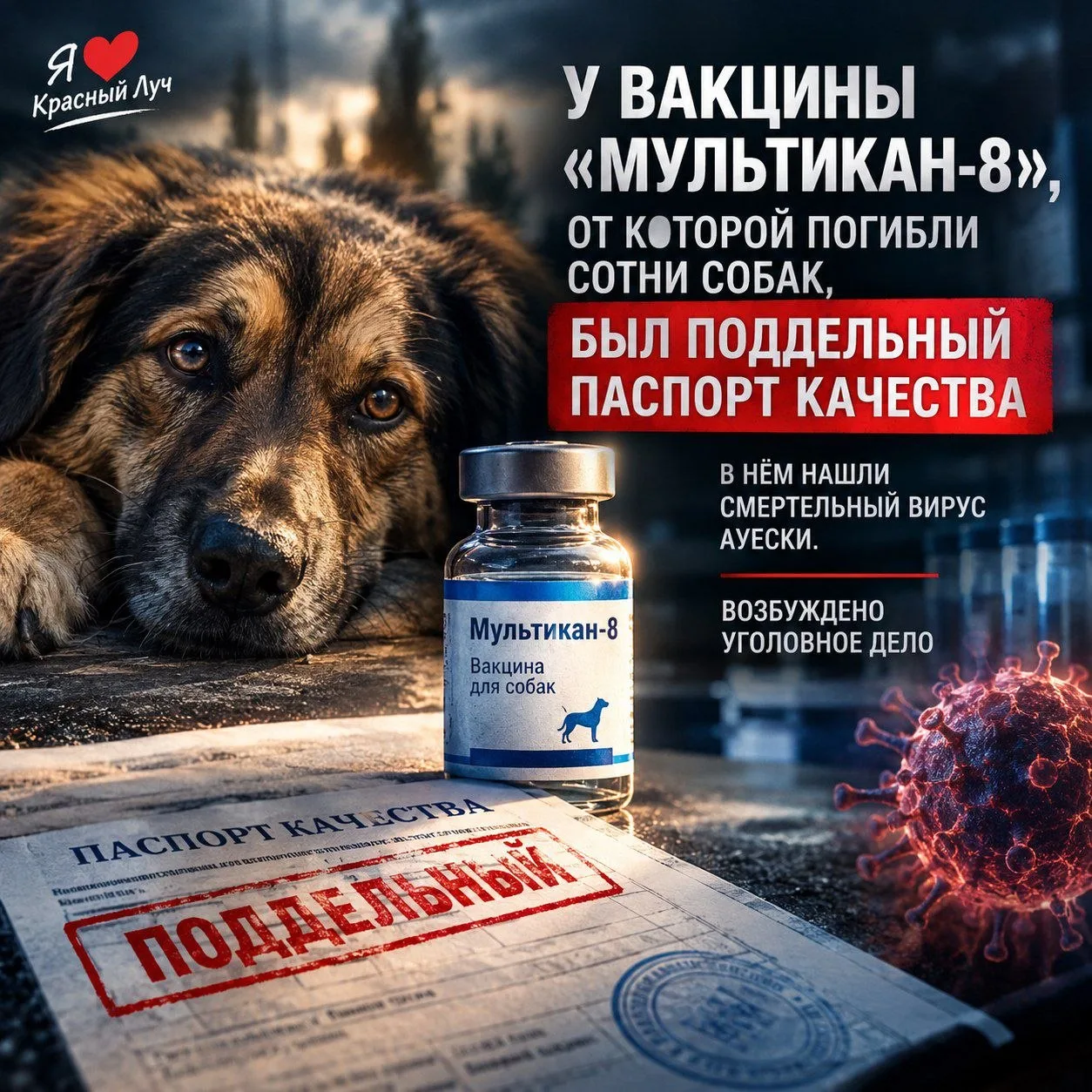 У вакцины «Мультикан-8», от которой погибли сотни собак, был поддельный паспорт качества.