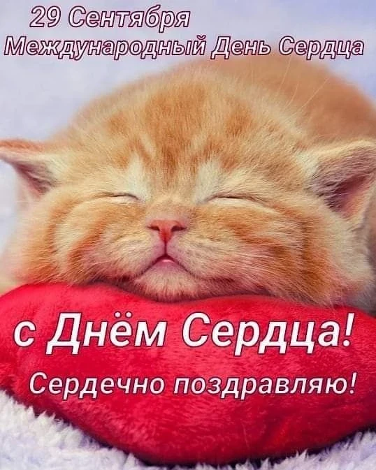 Международный день сердца