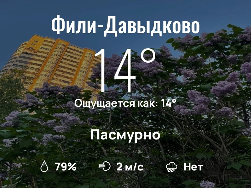 Что с погодой в Фили-Давыдково?