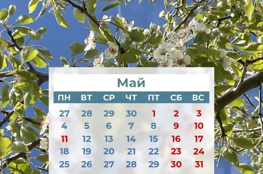МАЙСКИЕ ВЫХОДНЫЕ ДНИ 🕊
