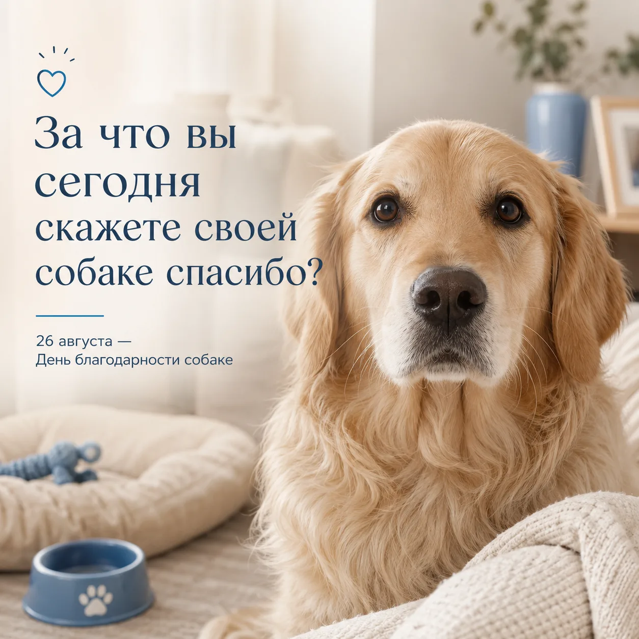 День благодарности собаке 🐶