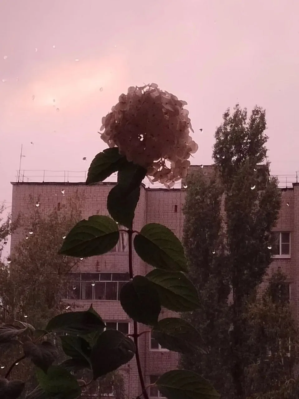 Доброе утро!