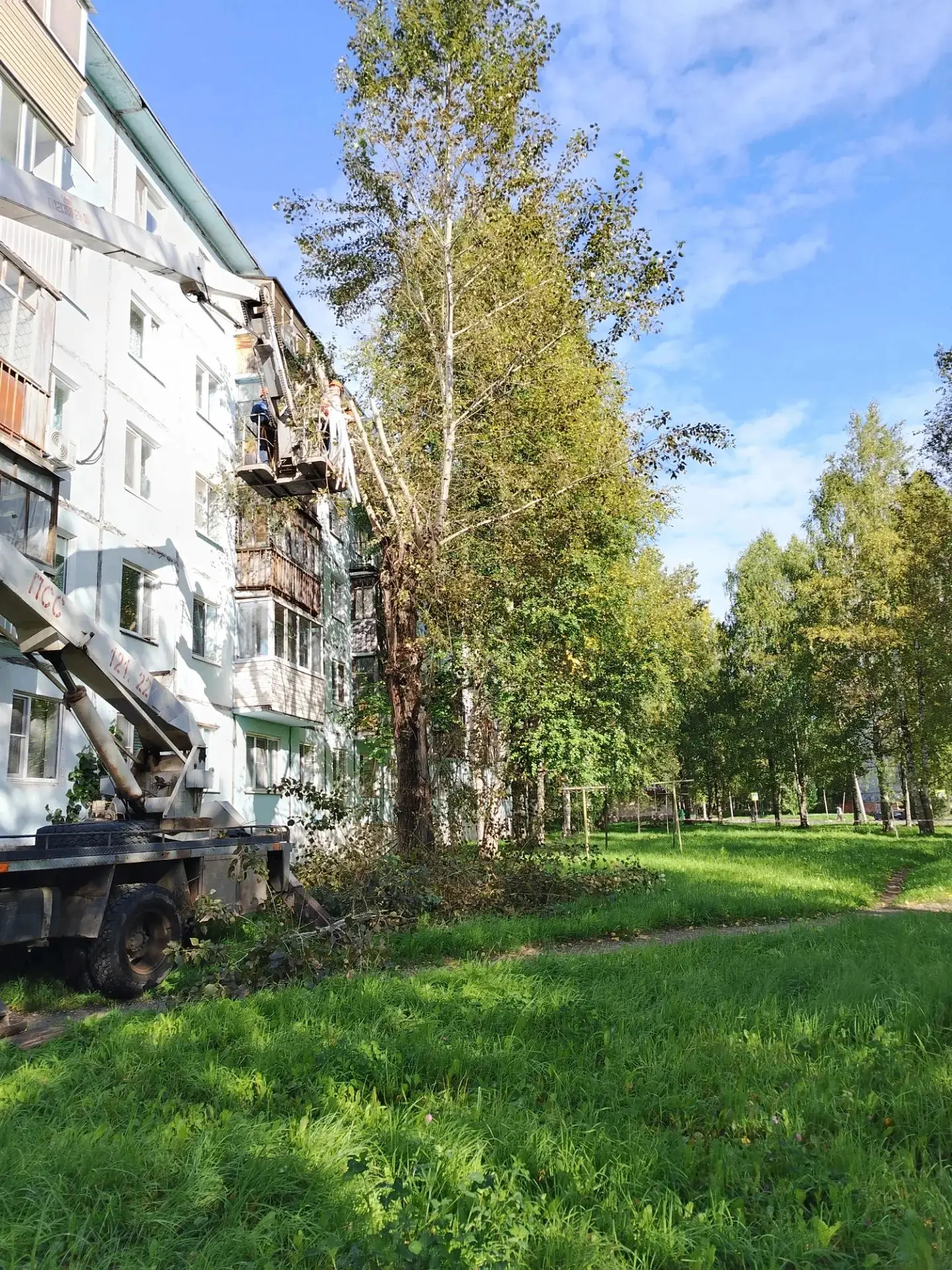 🌳Уход за зелеными насаждениями в Эжвинском районе.
