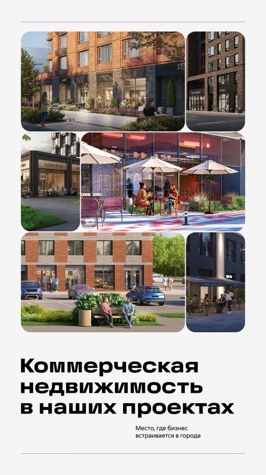 Почему Сибирский это выгодное вложение для бизнеса?

Собрали несколько интересных фактов для тех, кт