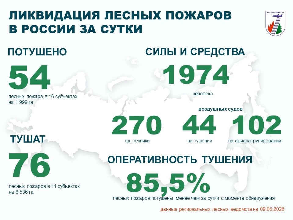 ⚡️За прошедшие сутки в России потушено 54 лесных пожара в 16 регионах.