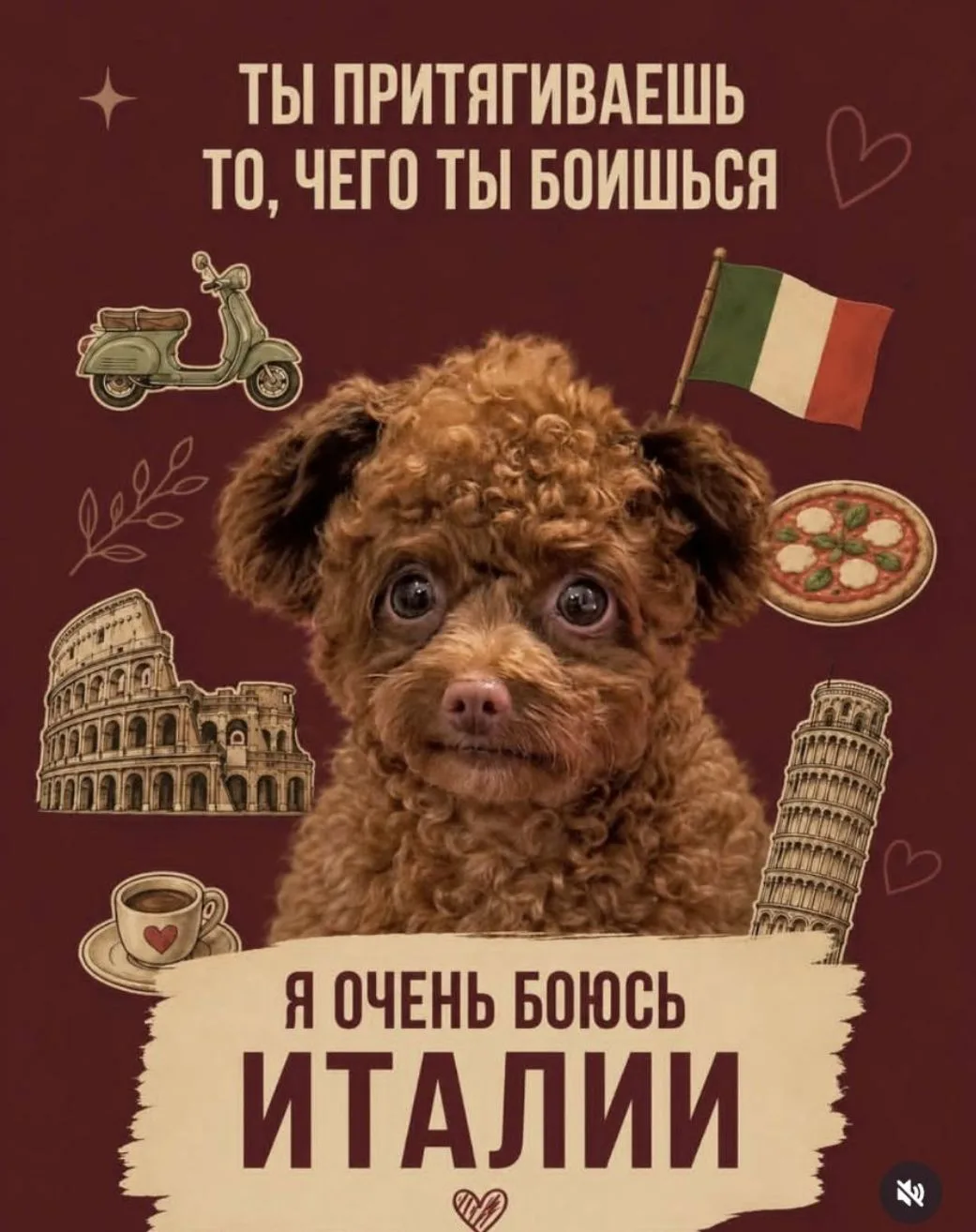 Юмором приправим неделю😘