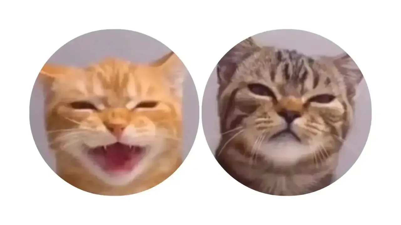 ❤️ - поставим
🖤 - мне не нравится