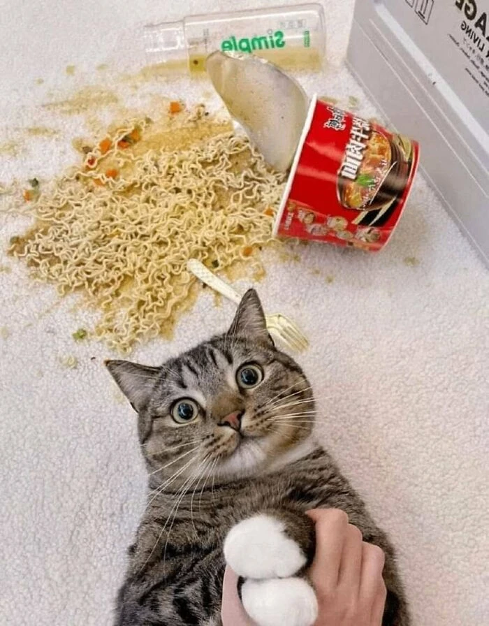 С - сегомдня не кушаешь