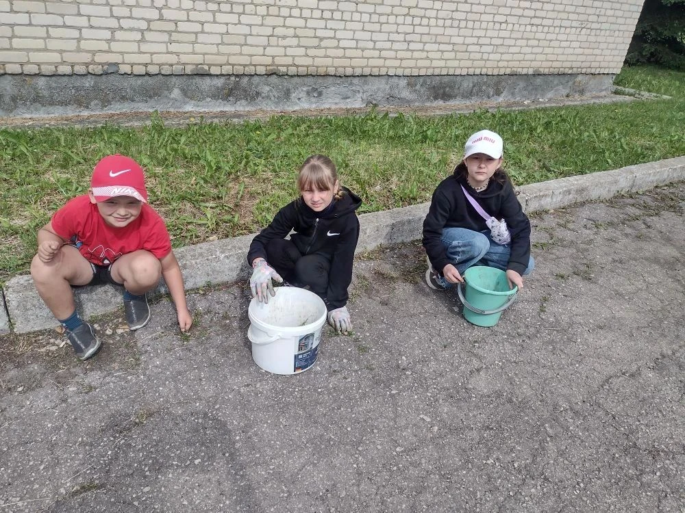 ✨В школе села Идолга прошёл санитарный день.