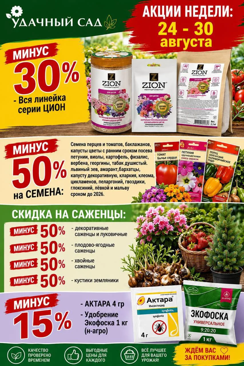 Доброе утро, друзья!
