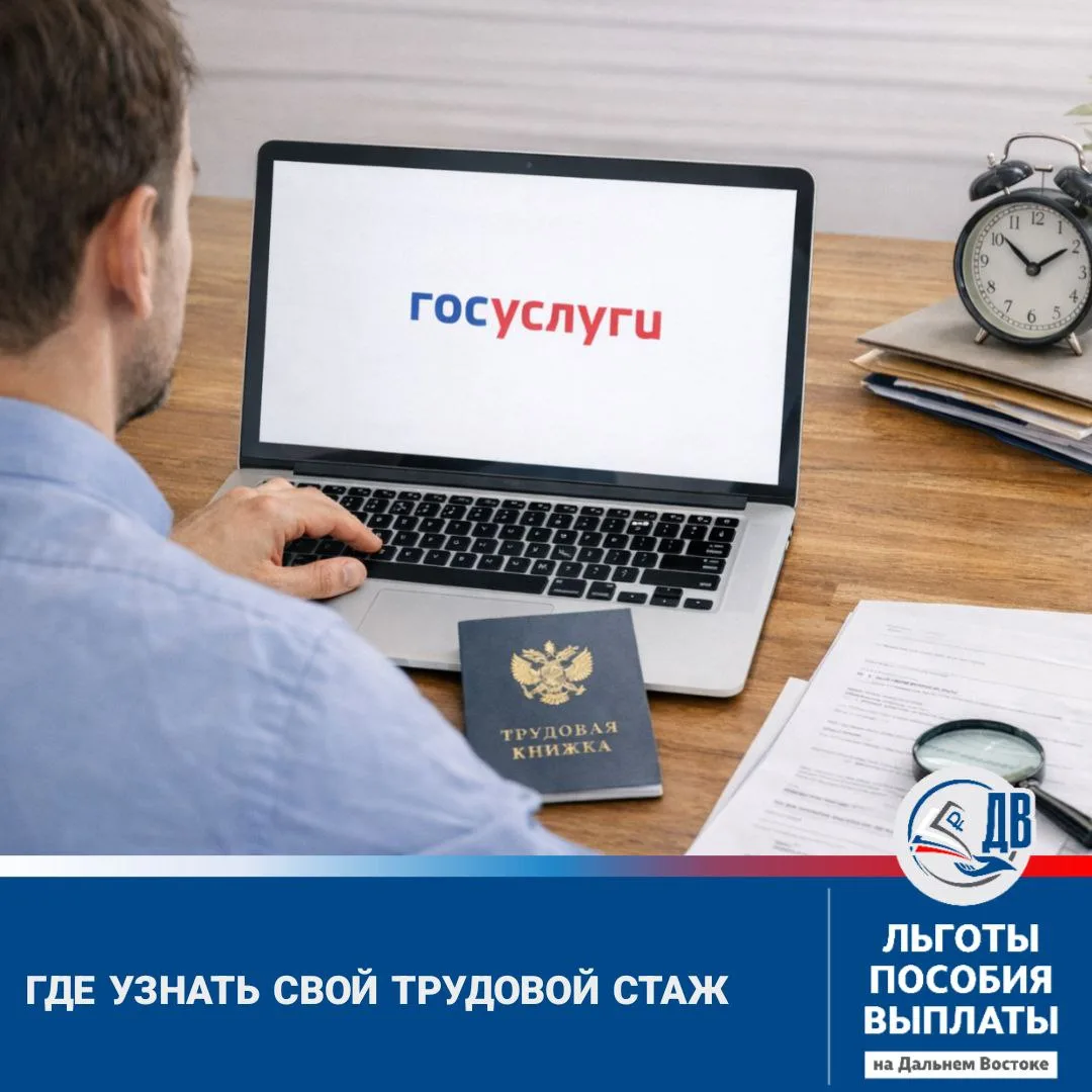 Как проверить свой трудовой стаж и исправить ошибки