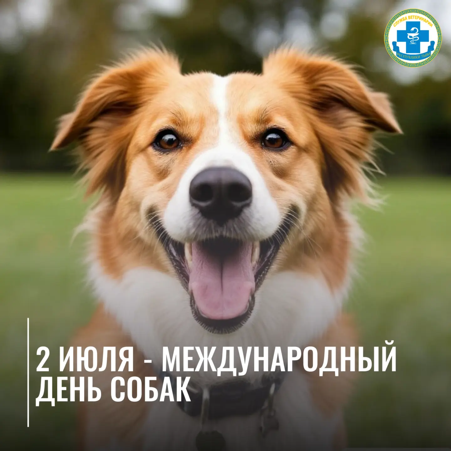 🥳Международный день собак отмечают 2 июля. Это неофициальный праздник, который объединяет собаковод
