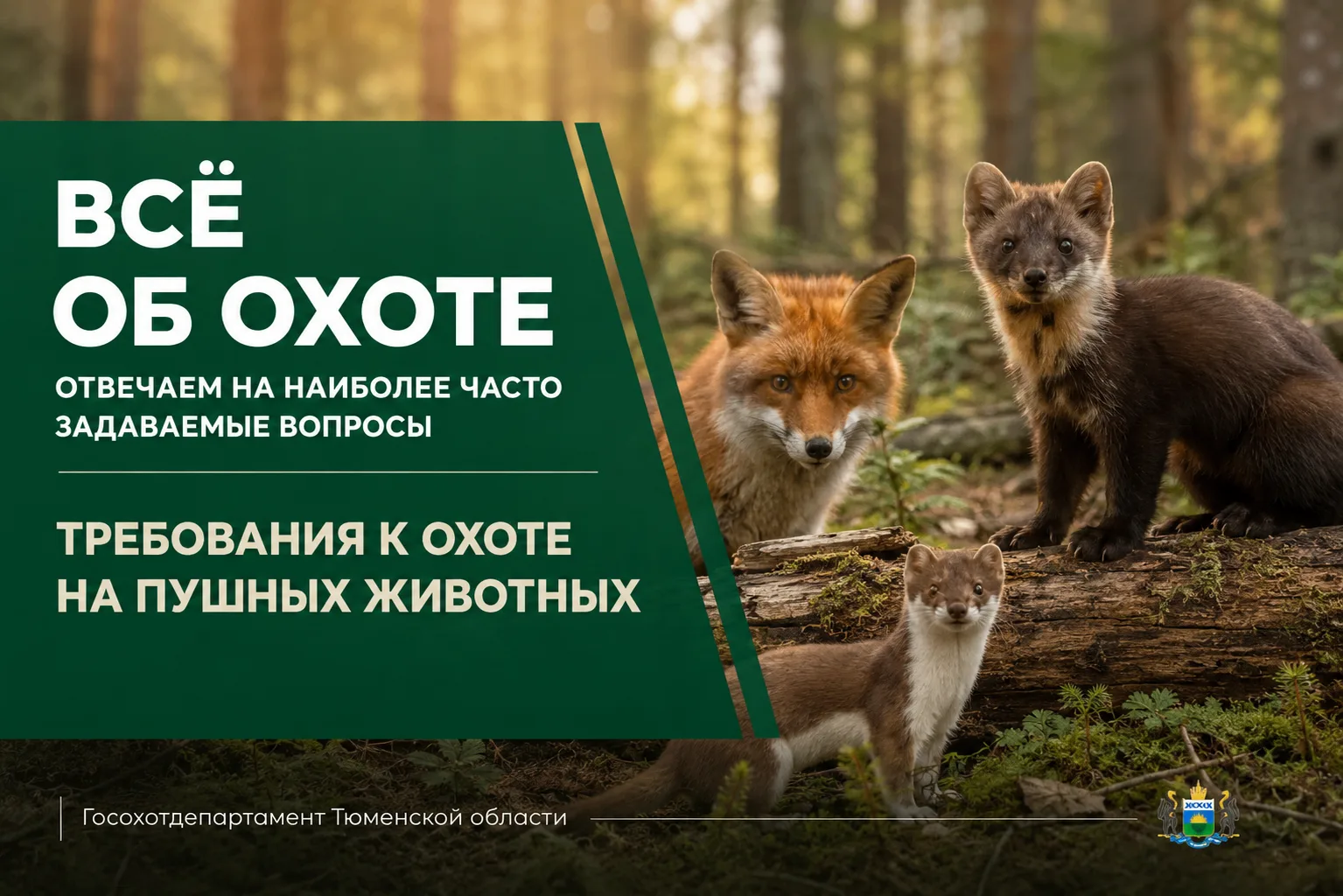 📌 Всё об охоте: отвечаем на наиболее часто задаваемые вопросы