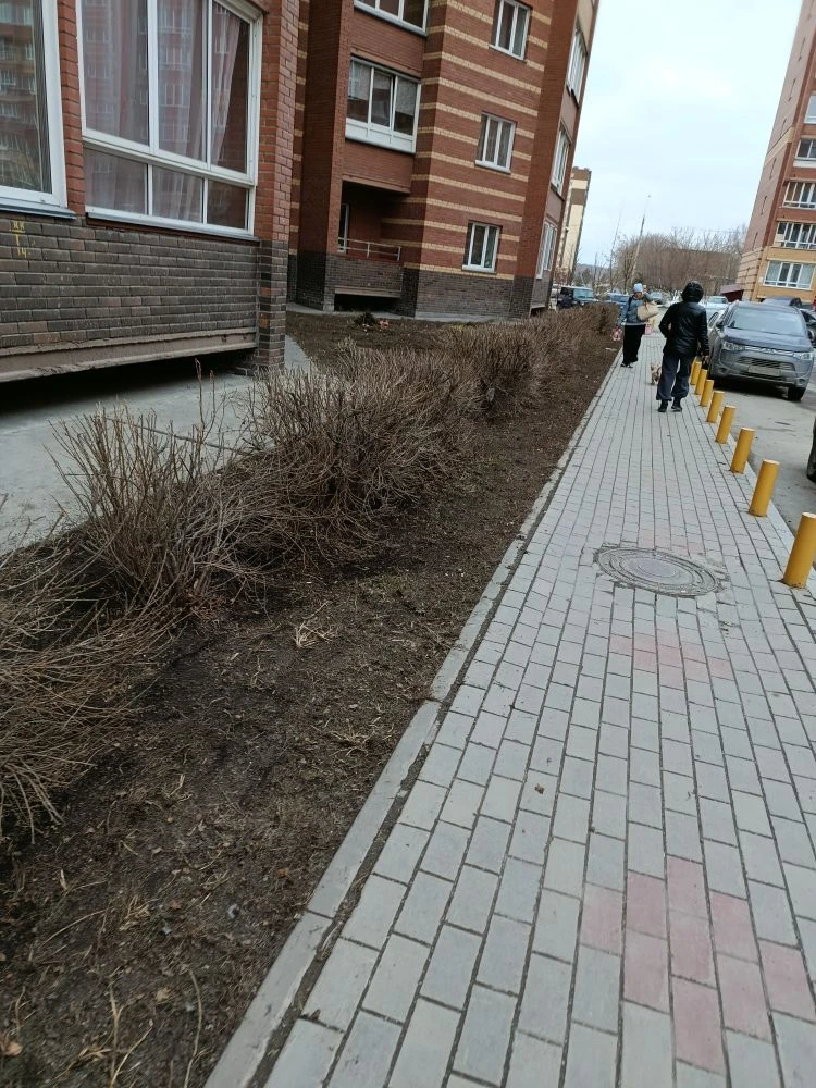 🌿 Весна — время обновления!