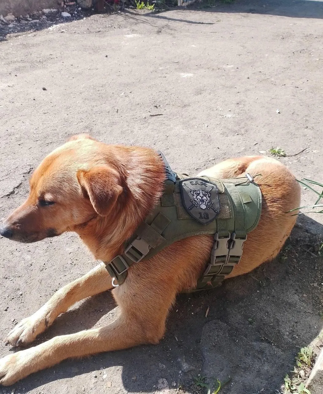 Доброе утро. Хорошего дня и удачи!