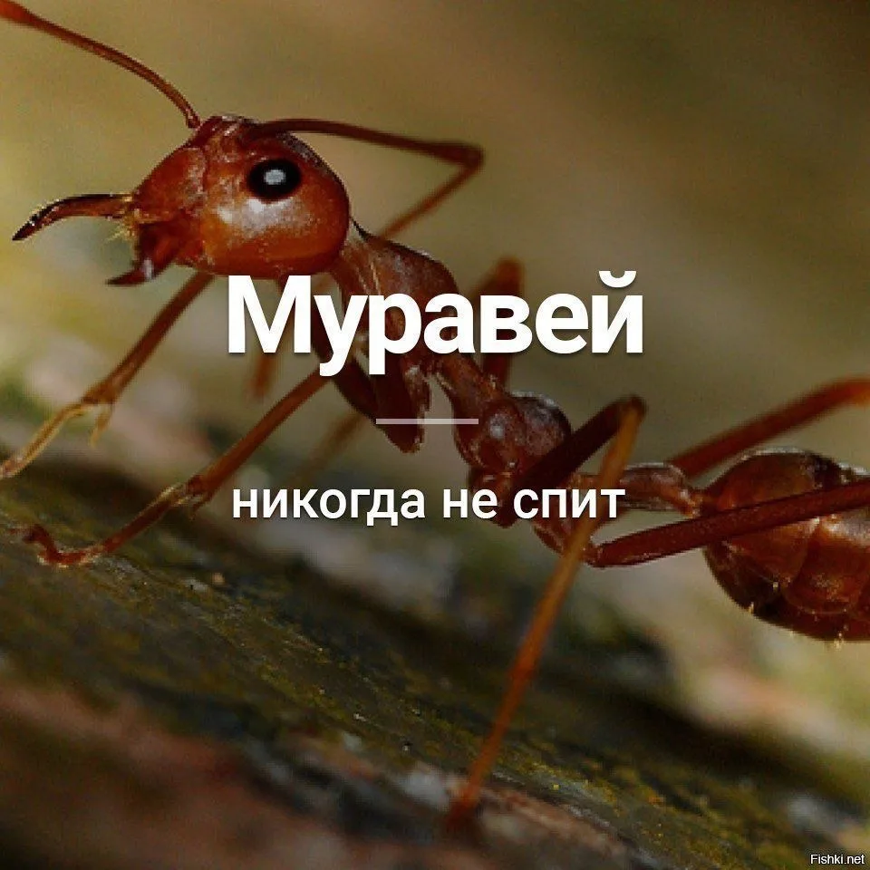 Признавайтесь, знали?