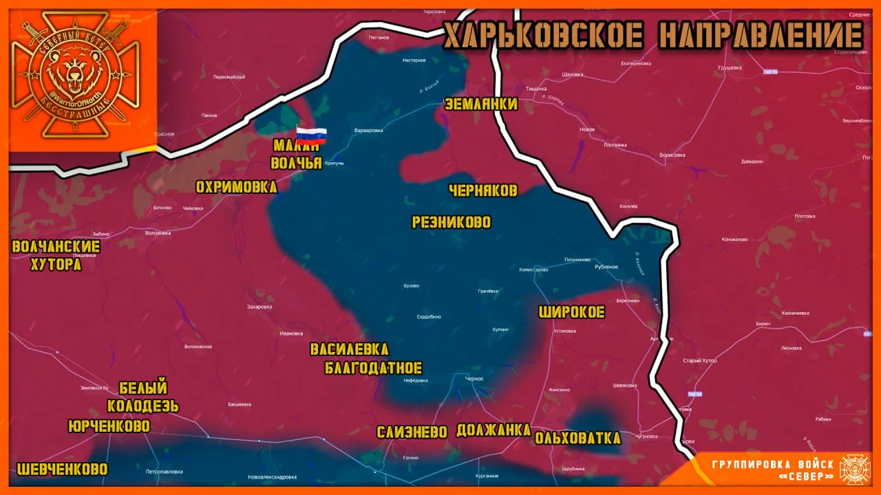 ❗️❗️❗️Малая Волчья наша!