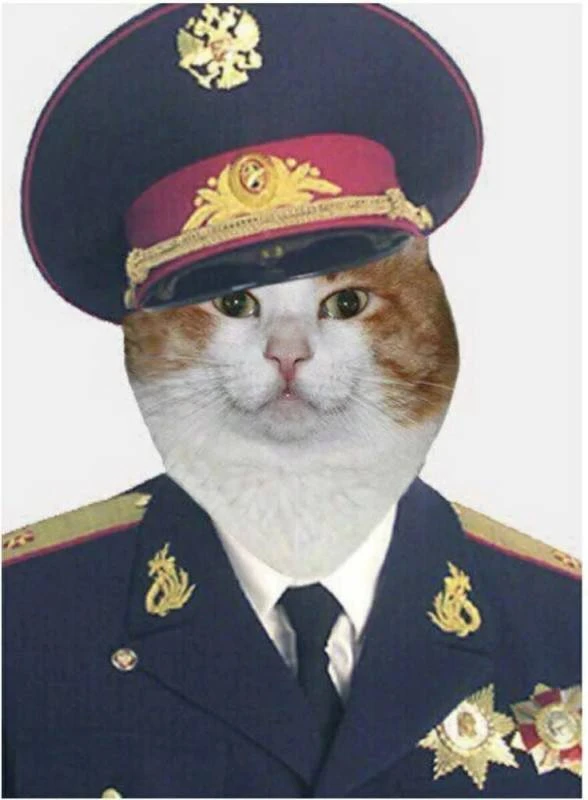 Доброе утро, Майкоп!