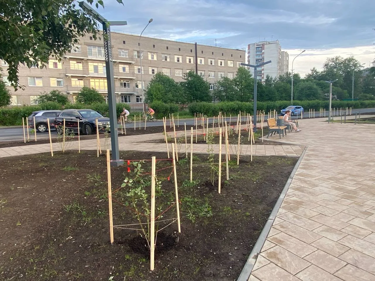 В Архангельске высадили деревья и кустарники в честь Дня медицинского работника 🌱

Дерен, спирея, п