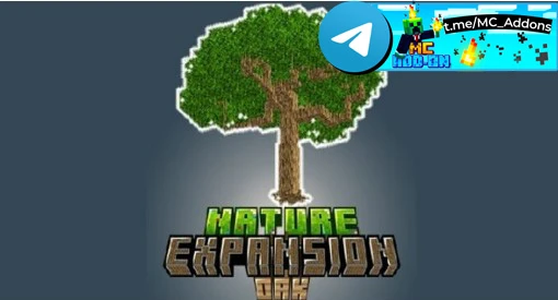 Nature Expansion Addon (1.21) 

Превратите мир Minecraft с этим аддоном, который оживляет классическ
