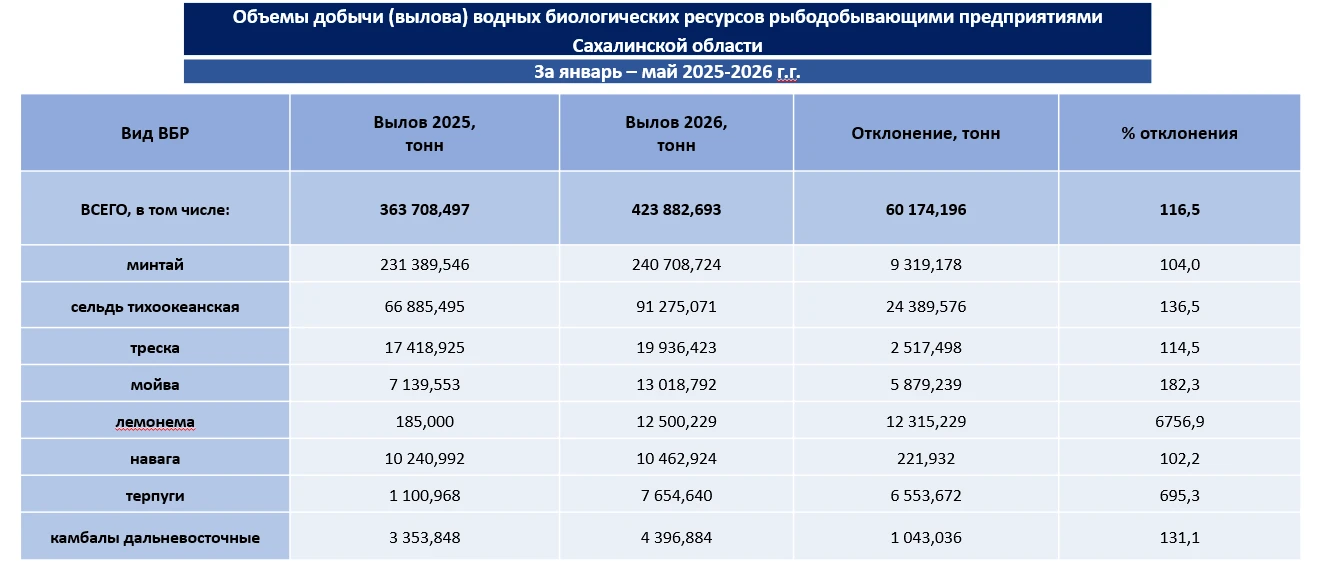 Ежемесячная рубрика министерства по рыболовству Сахалинской области

За 5 месяцев текущего года объе