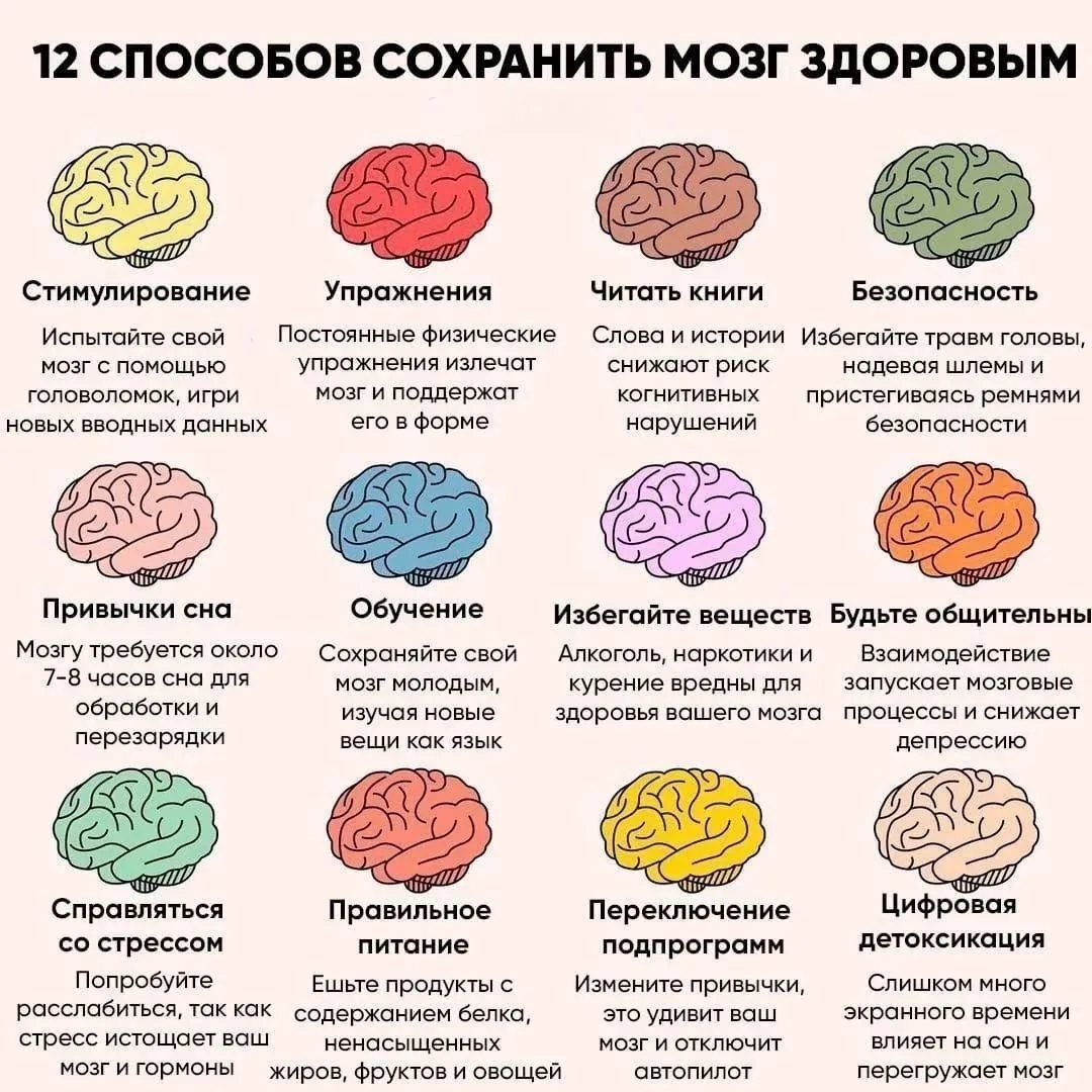 12 привычек для здорового мозга!🤩